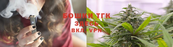 сатива Богданович