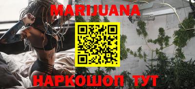 гидра Свободный
