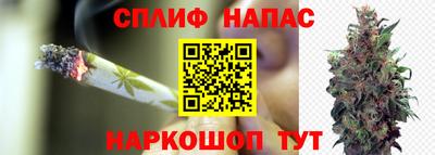 бошки Сланцы