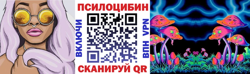 Галлюциногенные грибы Psilocybe  Сердобск 