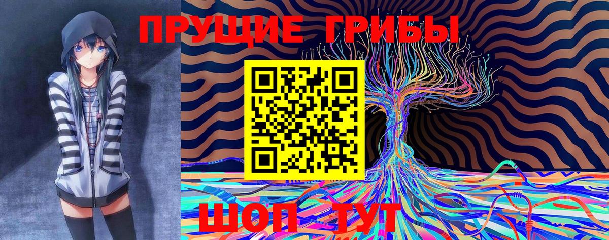 Галлюциногенные грибы мухоморы  Псилоцибиновые грибы Psilocybe  что такое наркотик  Вход с VPN  Сердобск 