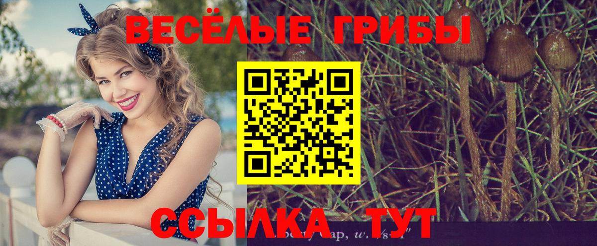 Галлюциногенные грибы мицелий Сердобск